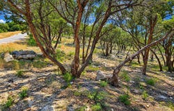 49 S Ridge, Concan, TX 78838