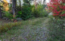 316 acres US 141 Highway, Covington, MI 49919