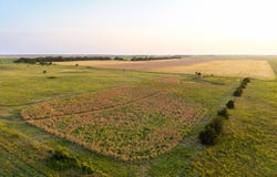 NE 110th St, Turon, KS 67583
