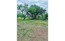 401 Fallow Spur, Melvin, TX 76858