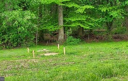 395 HAZELMOOR Drive, EARLEVILLE, MD 21919
