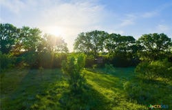 16833 County Road 2200, Lometa, TX 76853