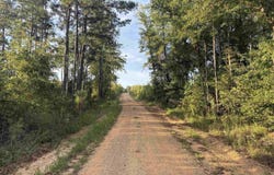 Nevada 124, Rosston, AR 71858