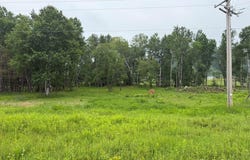 Bellagomba Road, Iron Mountain, MI 49801