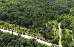 Mills Valley Boulevard, Marshfield, MO 65706
