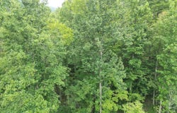 1531 Easter Hollow Road, Ridgeview, WV 25169
