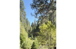 27263 State Highway 189, Blue Jay, CA 92317