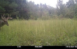 280 Sedgefield Rd, Natchez, MS 39120