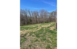 5620 Silver Lake Road, Clever, MO 65631