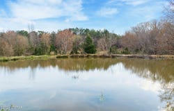 Sandridge Rd, Huron, TN 38345
