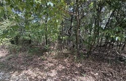 Walnut Circle, Flemington, MO 65650
