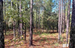 State Highway 225, Bay Minette, AL 36507