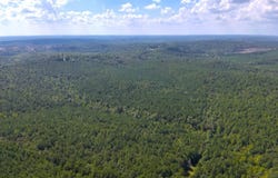 County Rd 369, Double Springs, AL 35553