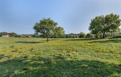 541 Reed Valley Road, Fayetteville, AR 72704