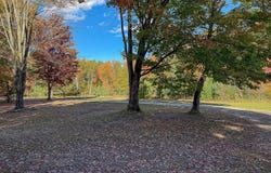 4063 W Curtis Road, Coleman, MI 48618