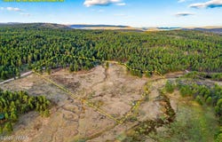 1A FOREST ROAD 26, Alpine, AZ 85920