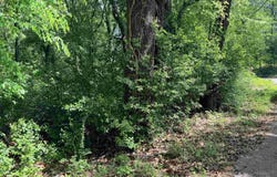 1023 S Peach Ave, Tyler, TX 75701