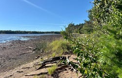 1981 S SCHOETTLER RD, Tomahawk, WI 54487