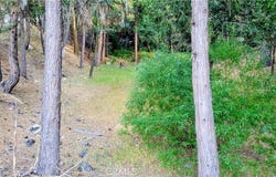 Grass Valley, Lake Arrowhead, CA 92352