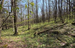 Adj. 216 Rock Cut Road, Central City, PA 15926