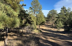 Stephens Drive lot: 35, Westcliffe, 81252