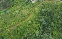 Orocovis, Orocovis, PR 00720