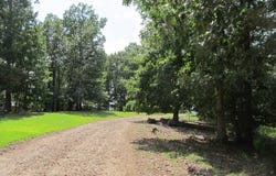 1 Timber Ridge Road, Eureka Springs, AR 72632