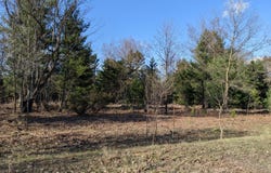 Bergstrom Drive, Kaleva, MI 49645