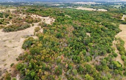 F M 1658, Bridgeport, TX 76426