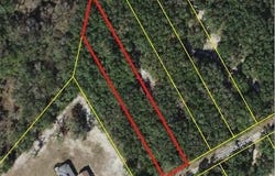 Rimrock Street, Webster, FL 33597