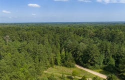 County Road 4117, Overton, TX 75684