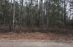 Silva Drive lot: 2, Hamilton, GA 31811