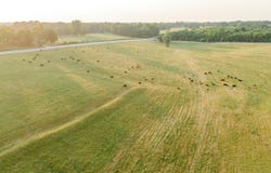 352 State Highway 245, Dadeville, MO 65635
