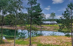 1963 FM 44 E, DeKalb, TX 75559