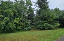 # Calvin Drive, Marlboro, NY 12542