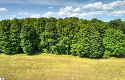 V/L E Center Road, Kingsley, MI 49649