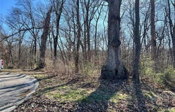 4 Acres Oak Ridge Pond Court Road, Hannibal, MO 63401
