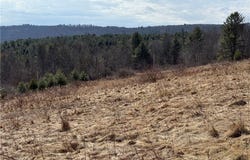 386 High Bridge Road, Mount Upton, NY 13809