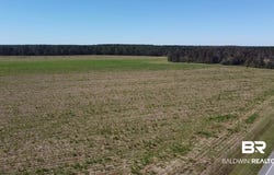 5600 Block Highway 97, Walnut Hill, FL 32568