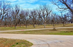 1700 Cirrus Loop, Granbury, TX 76049