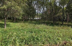 Hogback Bridge Road, Winterset, IA 50273