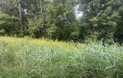Ridge N, LaFayette, GA 30728