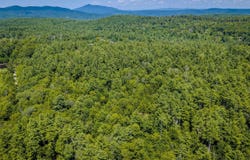Trebo Road, Chester, VT 05143