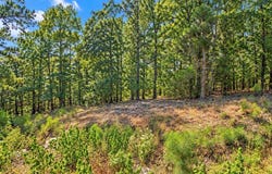 Kelaen Circle lot: 14, Bella Vista, AR 72715