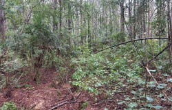 Tbd Battle Rd, Ethel, LA 70730