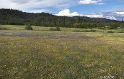 1741 Farmer Ranch Rd, Hayfork, CA 96041
