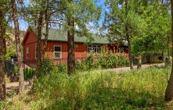 19424 Blue River Road, Blue, AZ 85922