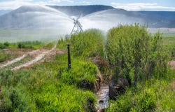 584 CR 331, Silt, CO 81652