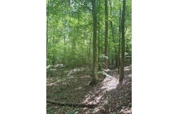 Benson Road, Dallas, GA 30132