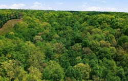 T Rd, Monterey, TN 38574